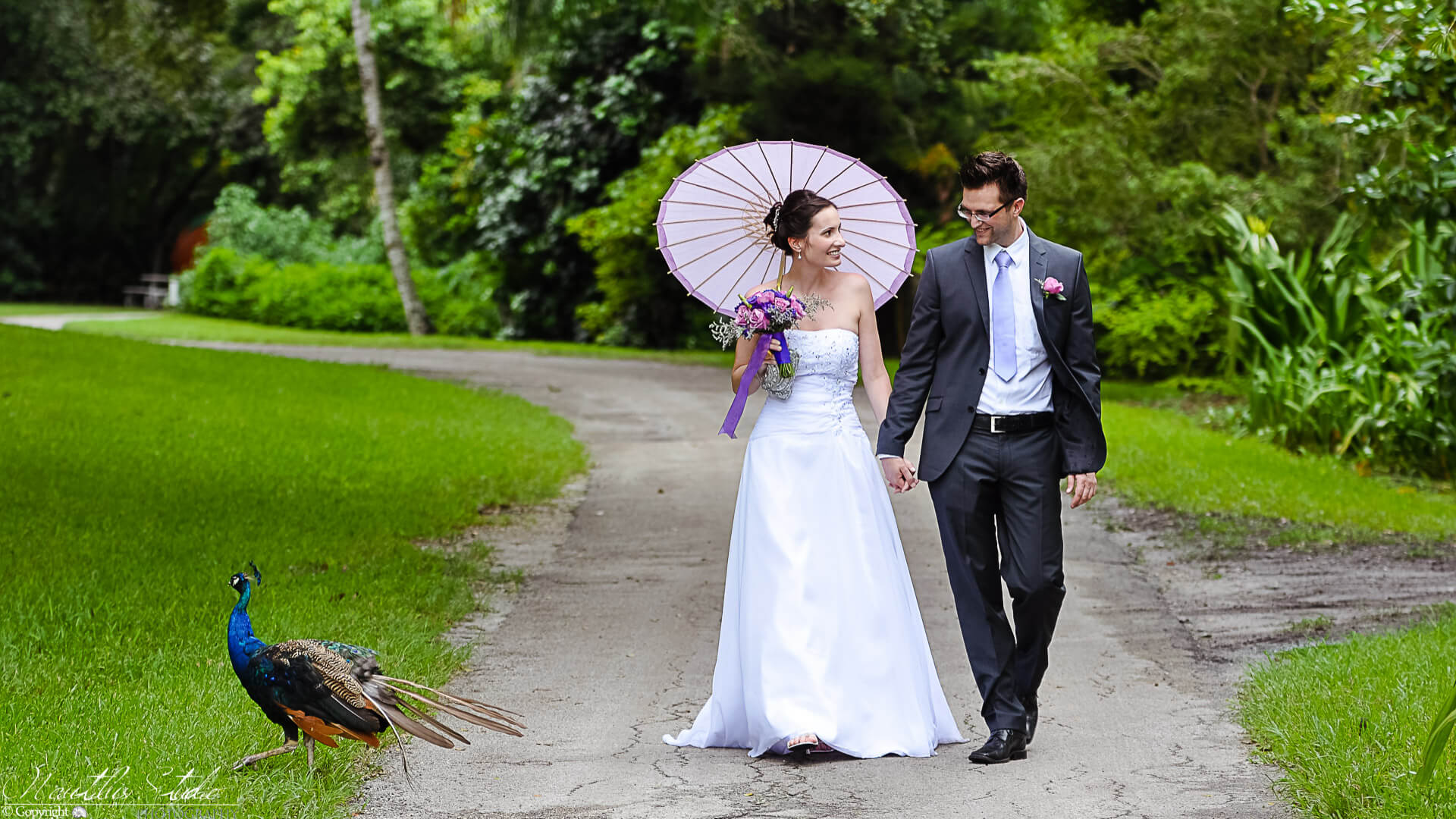 Heiraten in Miami, Bild vom Brautpaar im Park mit Pfauen