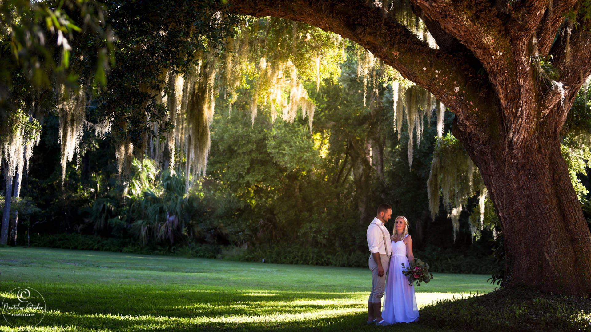 Washington Oaks Gardens Wedding, wedding couple under old oak tree