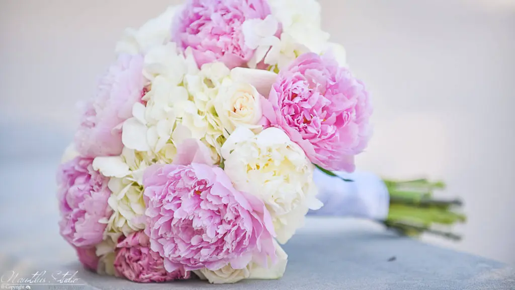 Bild von Brautstrauß mit rosa Pfingstrosen und Hortensien