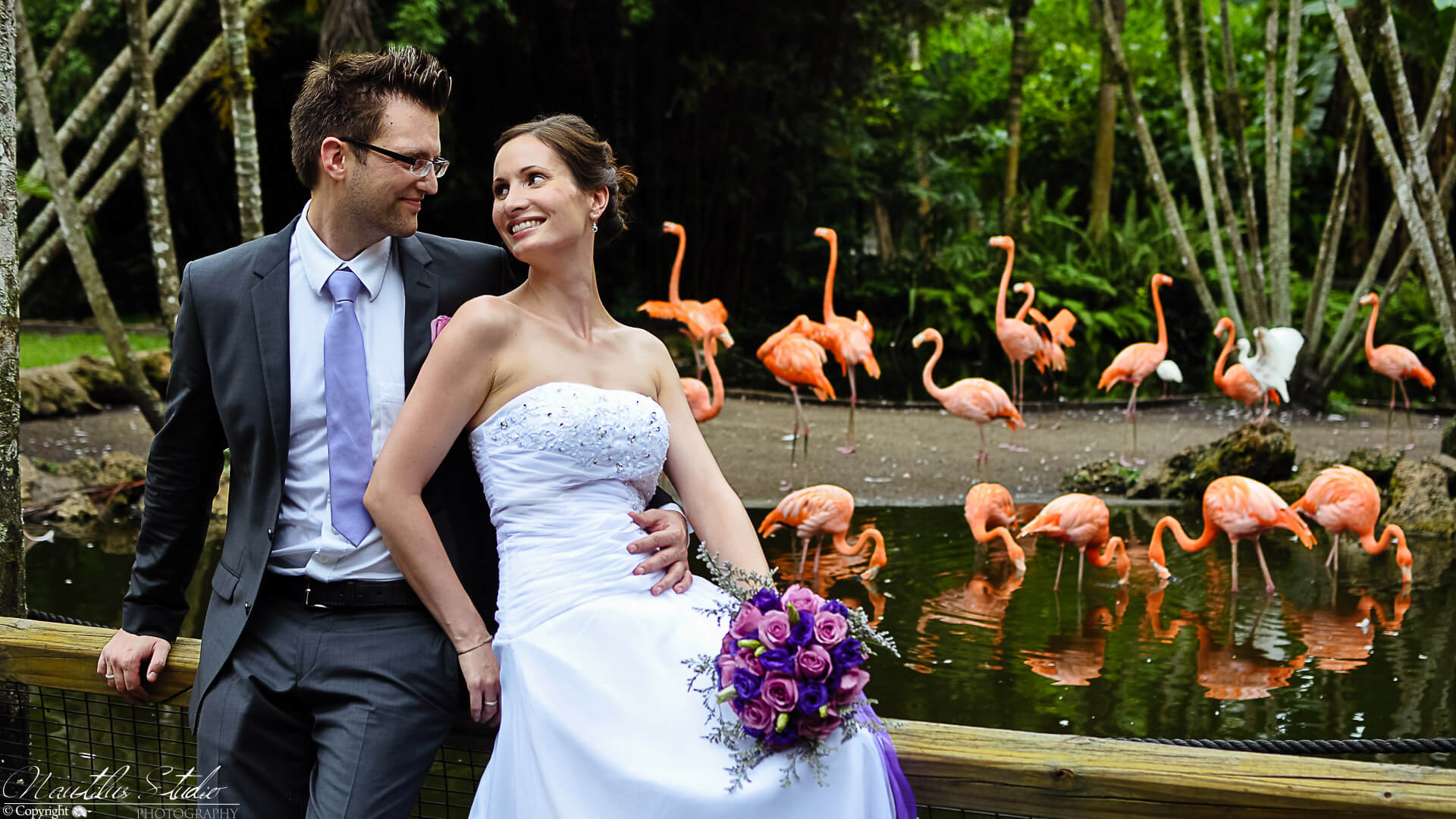 Casarse en Miami, foto de los recién casados ​​con flamencos en Florida